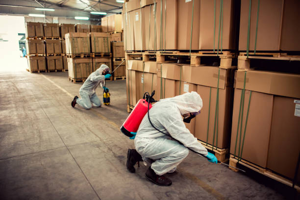 Best Termite Control Services  in Corpus Christi, TX