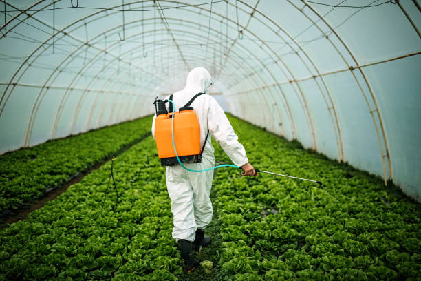Best Pest Control Near Me  in Corpus Christi, TX