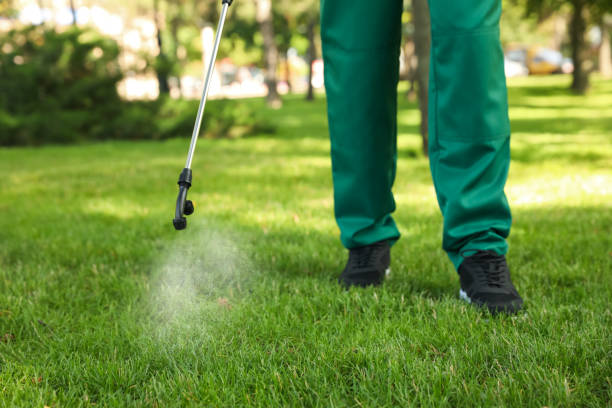 Best Best Pest Control Companies  in Corpus Christi, TX