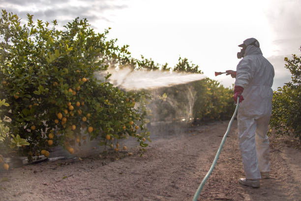 Best Mosquito Control Services  in Corpus Christi, TX