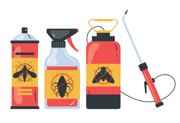 Best Pest Removal Services  in Corpus Christi, TX