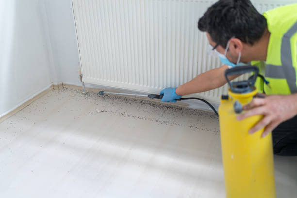 Best Cockroach Control Services  in Corpus Christi, TX