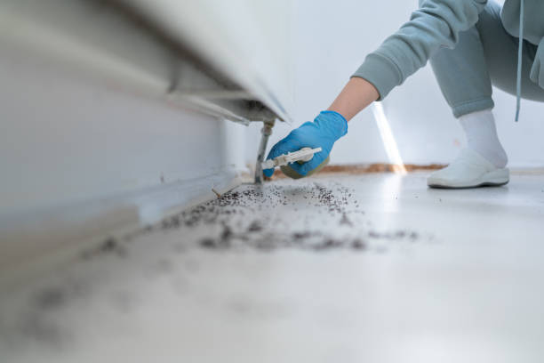 Best Pest Prevention Services  in Corpus Christi, TX